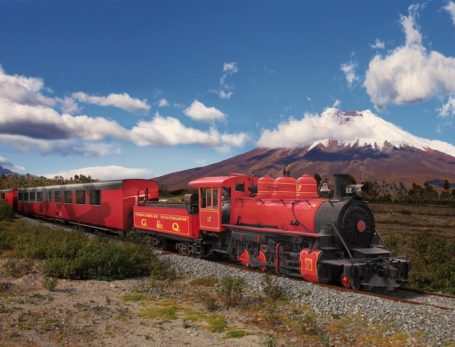 Tren Crucero vor dem Cotopaxi