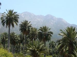 Nationalpark La Campana