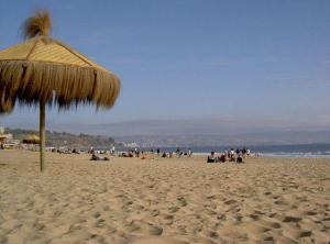 Am Strand in Vina del Mar