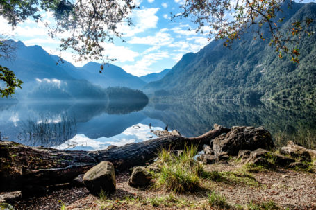 Blick auf die Laguna Sargazo im Nationalpark Alerce Andino