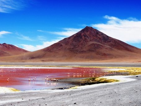 Die rote Lagune in Bolivien