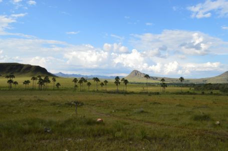 Chapada dos Veadeiros