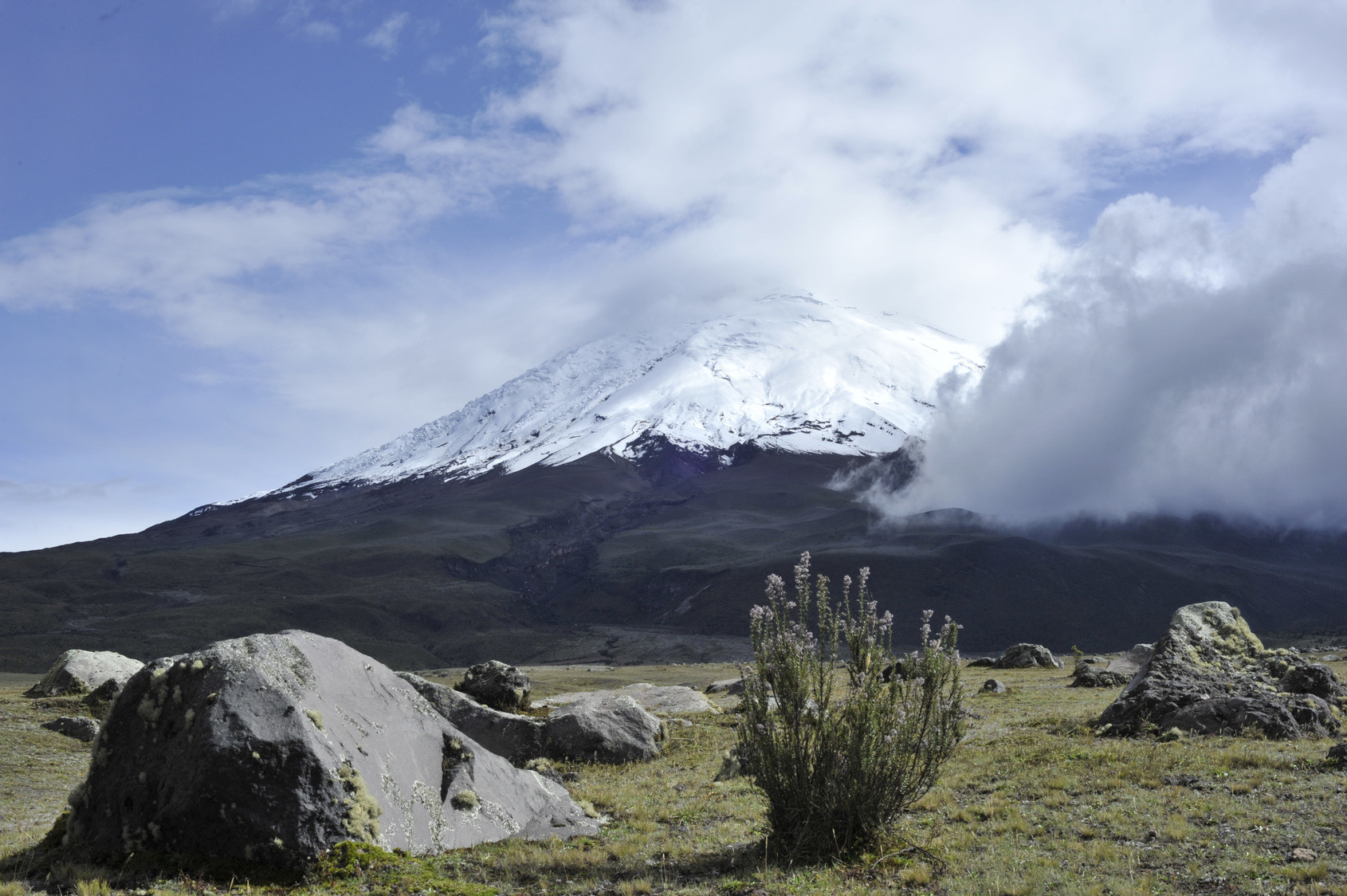 Spektakuläre Landschaft im Nationalpark Cotopaxi