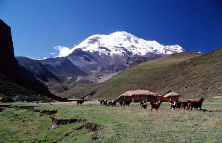 Estella del Chimborazo