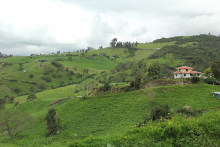 Grüne Landschaft in Ecuador