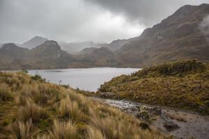 Laguna Toreadore im Cajas Nationalpark