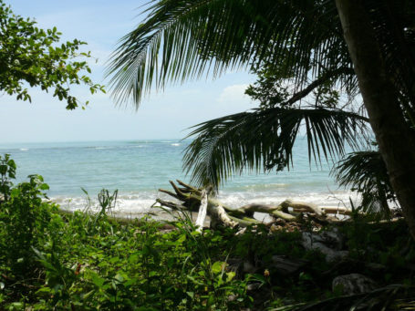 Die Karibikküste von Costa Rica