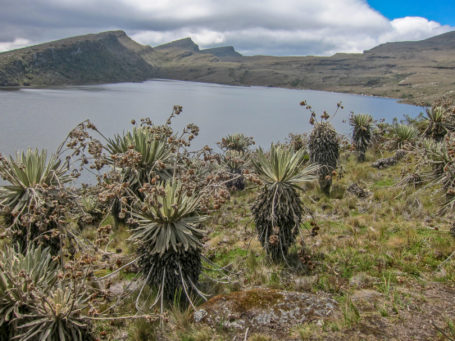 Lagune im Nationalpark Sumapaz