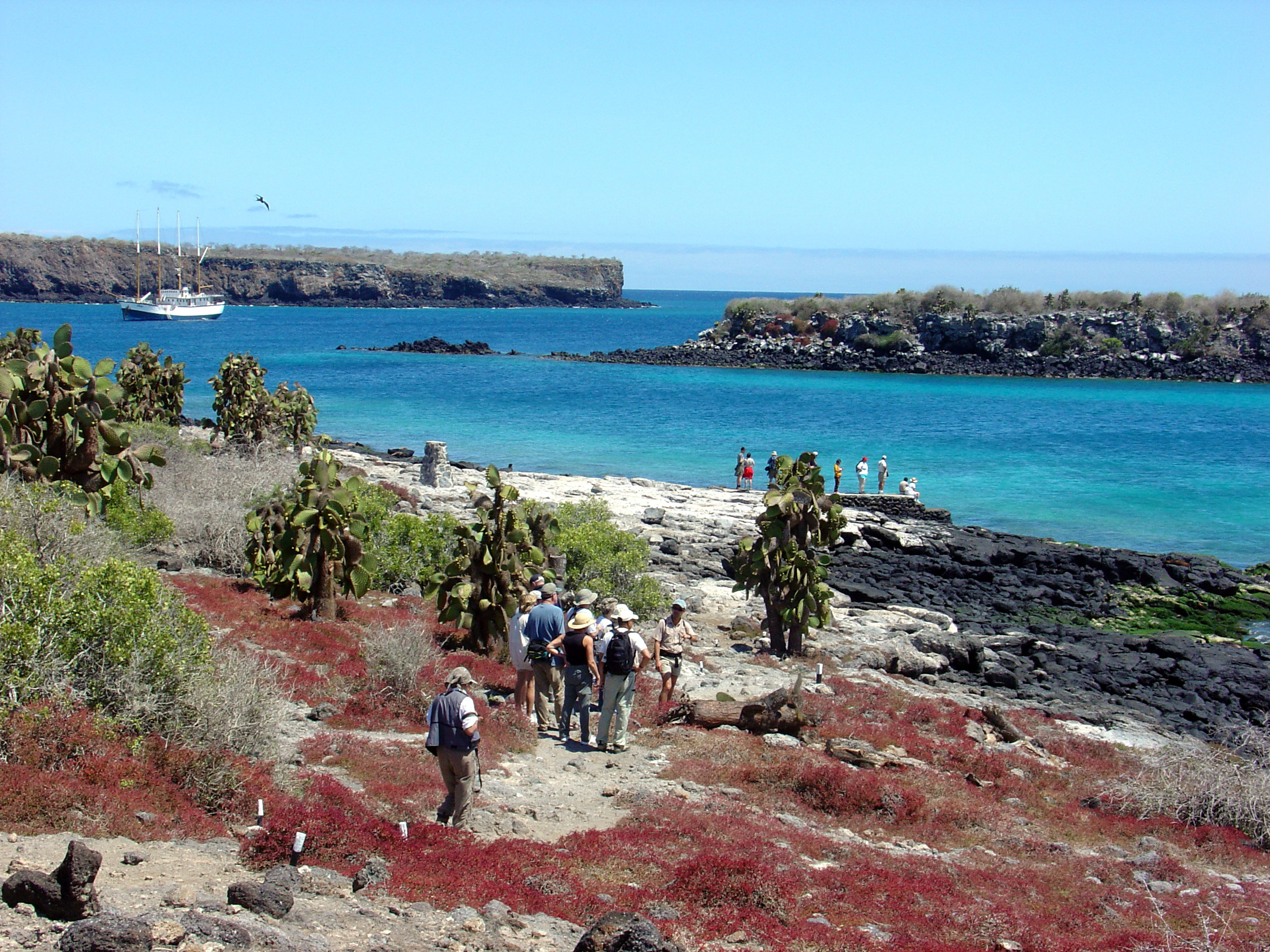 Plazas Galapagos