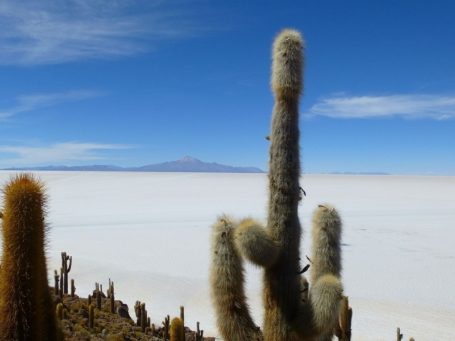 Der Salzsee Salar de Uyuni