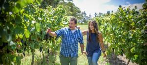 Uruguay: die Weinroute "Los Caminos del Vino"