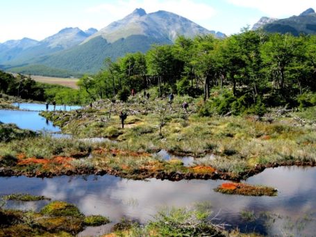 Wanderung bei Ushuaia