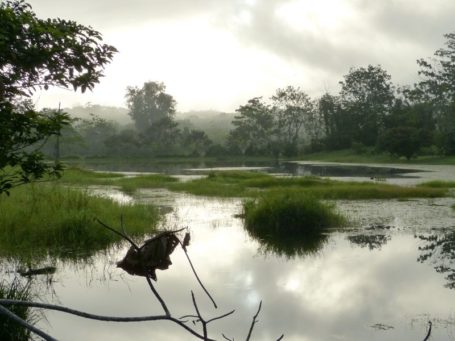 Boca Tapada in Costa Rica