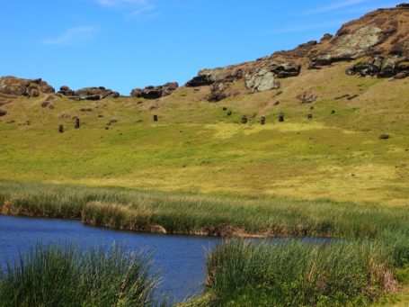 Nationalpark Rapa Nui - sehr grün und nur wenige Bäume