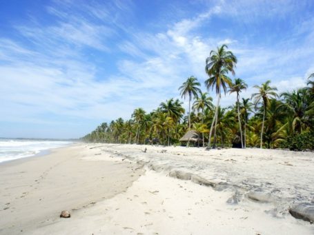 Der Strand von Palomino