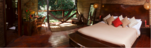 Dschungelloge Refugio Amazonas