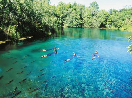 Schnorcheln in Bonito