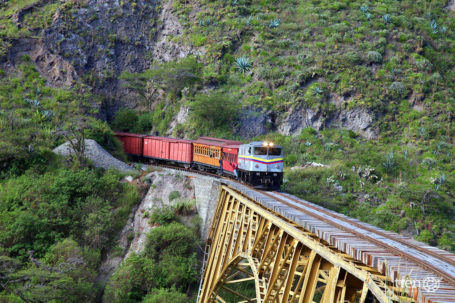 Tren de la Libertad